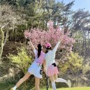 골든베이골프&리조트 | 골든베이 1박2일 미쳤다 오션·밸리코스 + 투스카니 숙소 + 조식뷔페까지 완벽 골프여행