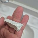 샤인힐 | 동두천 대방샤인힐 아파트 욕실 실리콘 코킹 작업