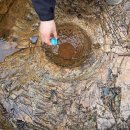 설악산 주전골 산행기 이미지