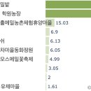 곡성안개농촌체험휴양마을 | 메밀꽃 명소 - 남부 (제주/전북/전남/경남/경북) TOP 10 | 데이터로 읽는 풍경여행