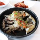 멍뭉이 밥상 이미지