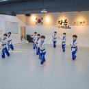 다온태권도 이미지