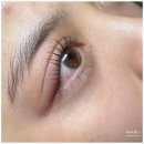 속눈썹 연장&속눈썹 펌 이미지