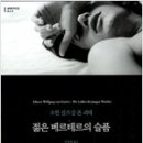 에이치엔비 이미지