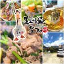 봉평골 메밀막국수 | 양평가볼만한곳 봉평골오리 생오리로스구이 동치미막국수 후기