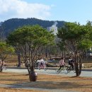 한국전통문화대학교 이미지