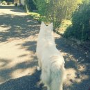 브리더하우스 이미지