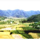 명산관광주