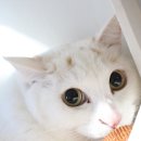 호텔보름 이미지