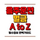 음주운전 벌금 , 2024년 최신 처벌 기준과 숨겨진 비용은? 이미지