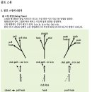 춘장대골프