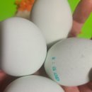 강원도 청계 농장 이미지