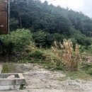 춘양약국 이미지