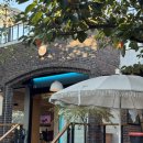 레드브릭 화이트하우스 | 행궁동 애견동반카페 레드브릭 커피하우스 다녀왔어요