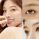 다비치안경 이데일리