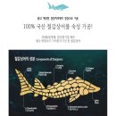 건강드림신정약국 | 피부건강을 위한 프리미엄 홈케어 제품으로 영양듬뿍! 촉촉하게! 철갑상어 마스크팩