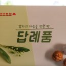 코코호도대구