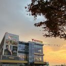 와이마트 수완현진점 | 미슐랑 3스타 곤트란쉐리에 방문ㅣ오픈이벤트 소금빵 무료 시식회ㅣ광주 금호동 베이커리 카페