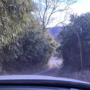 시골길펜션 | 경주 숙소추천 시골촌캉스 바베큐 조식 분위기 좋은 석굴암한옥펜션