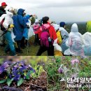 더오름기획