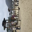 자연목장 | 아이와 함께 다녀온 벨포레 목장 후기 – 자연 속에서 배우고 노는 체험형 여행지