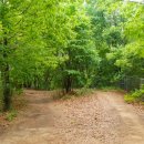 서울 초안산분묘군 이미지