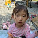 일월관광농원캠핑 이미지