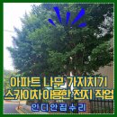 구로-현장-구로-463 | 인천 계양구 아파트 나무 가지치기 작업, 스카이차로 안전하게 전지 완료