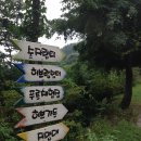 부산가족나들이 허브랑야생화 후기~