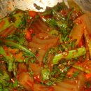 도토리카메라