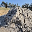 세종약품 주식회사 이미지