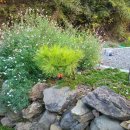 방우농장 이미지