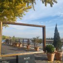 은행자동차(주) | 아산 곡교천 은행나무길