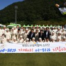 평창 노산성 이미지