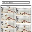 수원-0438 이미지