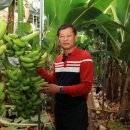 김용태농장 이미지