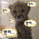 사탄곱창 | 바쁘다 바빠 11월 일상 🥵