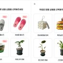 오늘도캔들 이미지