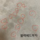 에프지씨 이미지
