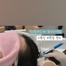 도노포레스타화도