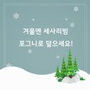 포그니이불 이미지