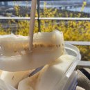 금호동 목련빌라 | 🌼응봉산 개나리축제🌼 3/26(일) 방문후기