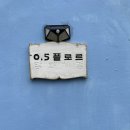 0.5플로르