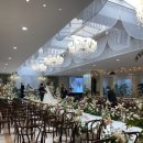 마른내로 | 피제이호텔 25년 겨울예식 솔직 하객후기 ATM 하객수가 걱정된다면 고려해볼 베뉴