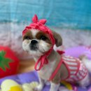 용호유치원 이미지