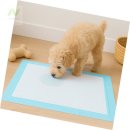 미나애견 이미지