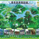 충주호체험 이미지