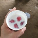 지리산농부 협동조합