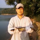 목골중 Daum카페