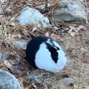 원주한증막 이미지